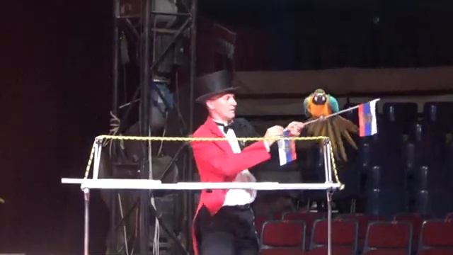 ВЛОГ Настя первый раз в цирке Танцующие медведи и милые обезьянки