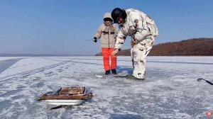 Селедка как бешенная, грызет наши блесна. Учу сына ловить рыбу