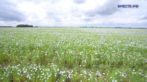 Вместе по России. Курганская область