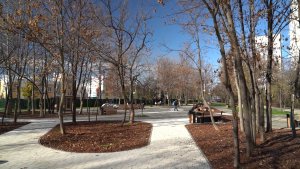 В районе дома № 212 по проспекту Генерала Острякова благоустроили новый сквер