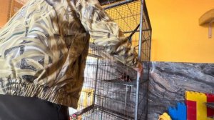 ЭТО НЕВЫНОСИМО, мы думали мать кормила ребенка, а она ДАЖЕ НЕ ПОДХОДИТ К НЕМУ….