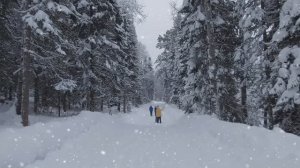 Красавица зима.Королевская калитка .Заповедник Центральные Столбы . Красноярск