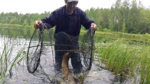 НЕВЕРОЯТНЫЕ ТРОФЕИ — ЛОВЛЯ ОГРОМНЫХ КАРАСЕЙ И ЩУК НА ОЗЕРЕ В ВЕРШУ