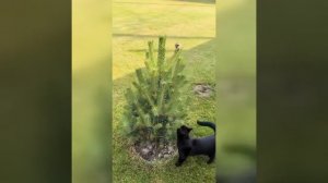 Видео от МЭН - Мне Это Нравится