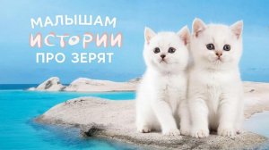 СКАЗКИ ДЕТЯМ