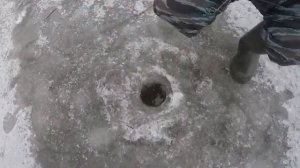 ОТКРЫТИЕ ЗИМНЕГО СЕЗОНА В САРАТОВЕ И ЭНГЕЛЬСЕ. 20.12.25.