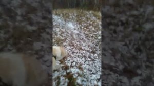 VID_20251222_171550_407.mp4