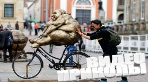 ВИДЕОПРИКОЛЫ \ КРУТЫЕ ПРИКОЛЫ 2025 \ НОВЫЕ ПРИКОЛЫ \ СМЕШНЫЕ ПРИКОЛЫ 2025 ЮМОР