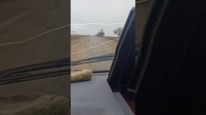 🇷🇺🇷🇺🇷🇺 Личный архив 🇷🇺🇷🇺🇷🇺