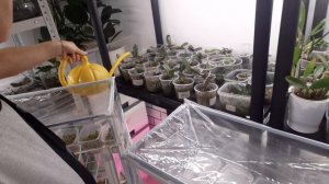 Жизнь в Деревне   Утро началось с подарков от соседки