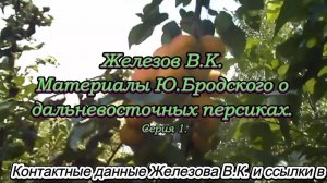 Железов В.К. Материалы Ю.Бродского о дальневосточных персиках. Серия 1.