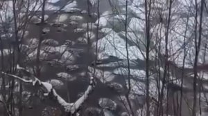 Туши почти 800 овец, утонувших в озере в Башкирии, экологии не угрожают