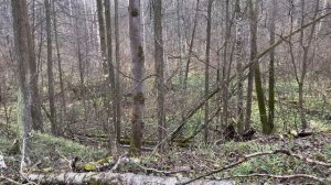 Я ОХРЕНЕЛ КОГДА НАШЕЛ ЭТУ МОНЕТУ.