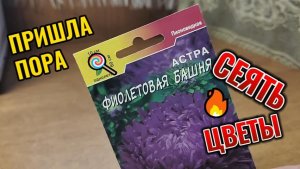 БУДУ САЖАТЬ ЦВЕТЫ (под зиму)