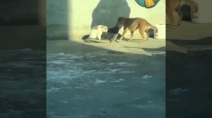 Ближе к солнышку