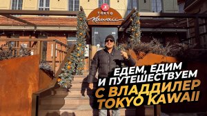 ‼️ЕДЕМ, ЕДИМ И ПУТЕШЕСТВУЕМ С ВЛАДДИЛЕР ‼️TOKYO KAWAII‼️