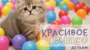 СКАЗКИ ДЕТЯМ