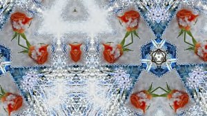 Розы в Зимнюю пору 3 от Киностудии Мудрого Кота Тимофея!