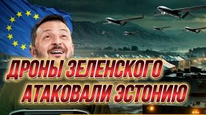 ДРОНЫ ЗЕЛЕНСКОГО АТАКОВАЛИ ЭСТОНИЮ / ТАМИР ШЕЙХ. новости сводки