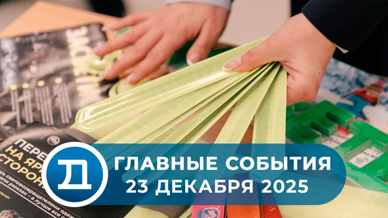 23.12.2025 Домодедово. Главные события.