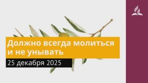 25 декабря 2025. Должно всегда молиться и не унывать. Под сенью благодати.