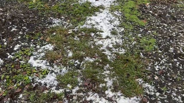 Жду настоящую деревенскую зиму, а её всё нет…)) смотреть онлайн