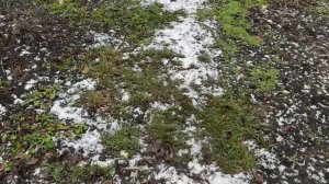 Жду настоящую деревенскую зиму, а её всё нет…))