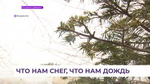 Небольшой циклон принес во Владивосток пасмурную погоду с умеренными осадками