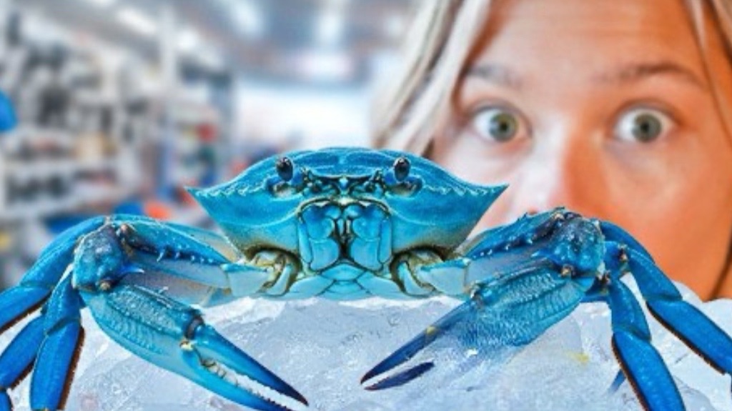 Я превратила краба в домашнего питомца и спасла его смотреть онлайн