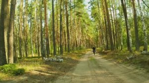 Мещера.ВелоЛюбовь с первого метра!16.08.2025