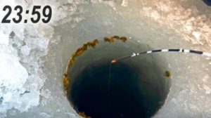 Опустил мормышку на старом месте, А ОН ПОДНЯЛ КИВОК И НАЧАЛСЯ НОЧНОЙ КЛЁВ!
Зимняя рыбалка 2025