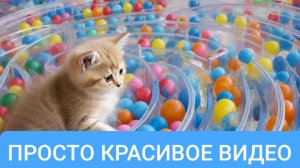 РАЗВЛЕКАТЕЛЬНОЕ ВИДЕО ДЛЯ ДЕТЕЙ
