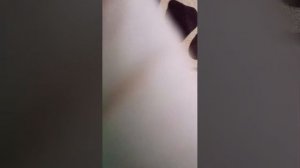 67 Я просто не знаю как назвать Пусть будет так