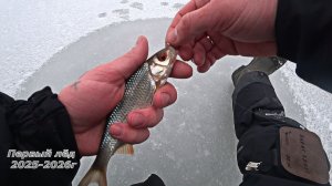 Первый лёд 2025-2026 г . Зимняя рыбалка . Нижегородская область .