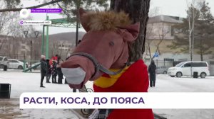 На центральной площади Лесозаводска деревья заиграли новыми красками