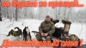 Два дня ОХОТЫ на КУНИЦУ/ Первый  СНЕГ / Открытие снегоходного сезона / ЗВЕРЬ нас ОБХИТРИЛ!!!