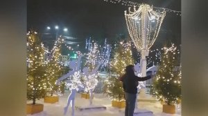 Архив . Воронеж . Елка города