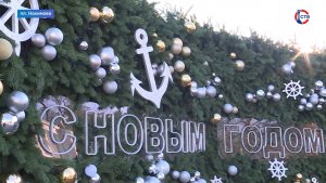 На площади Нахимова установили новую главную ёлку Севастополя