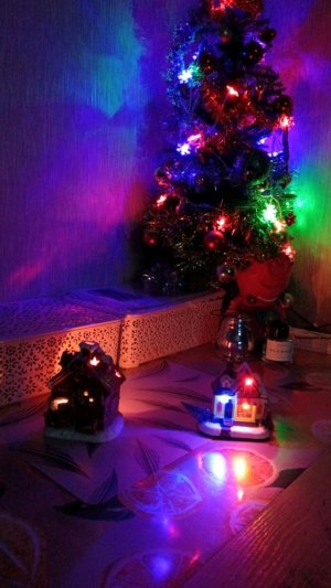 Реликс котика