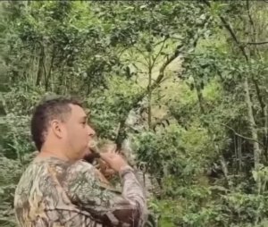 Звук флейты и Стихия Воздуха