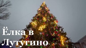В Лутугино открыли новогоднюю ёлку