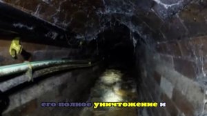 Лондонскую канализацию перекрыла жировая пробка весом 100 тонн