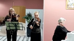 Инстументальный амбль "ANIMA"(старшая категория, 55+, и жаннр, караоке и не только) - "Метель"