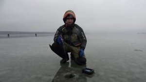 СЮДА СБЕЖАЛАСЬ ТОЛПА!!! Первый лед на Дону. Первый лед 2025-26. Зимняя рыбалка.