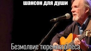 ПЕСНИ ДЛЯ ДУШИ/ШАНСОН/Безмолвие тюремного леса