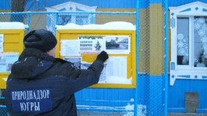 Хвойные под защитой: Природнадзор Югры проводит рейды