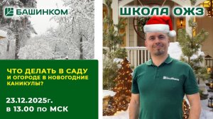 Что делать в саду и городе в новогодние каникулы?