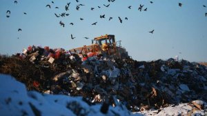 Правительство и парламент готовят меры по ужесточению ответственности для игроков ТКО