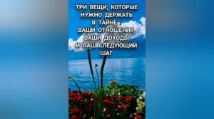 Цитаты о смысле жизни.