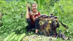Собираю урожай баклажанов и тыквы, чтобы отвезти на рынок для продажи. Жизнь фермера Дуонг